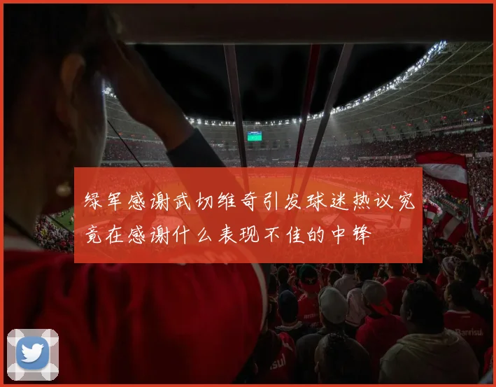 绿军感谢武切维奇引发球迷热议究竟在感谢什么表现不佳的中锋